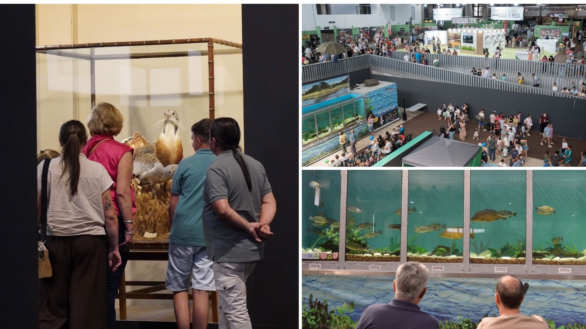 Feria de la Caza, Pesca y Naturaleza Ibérica,