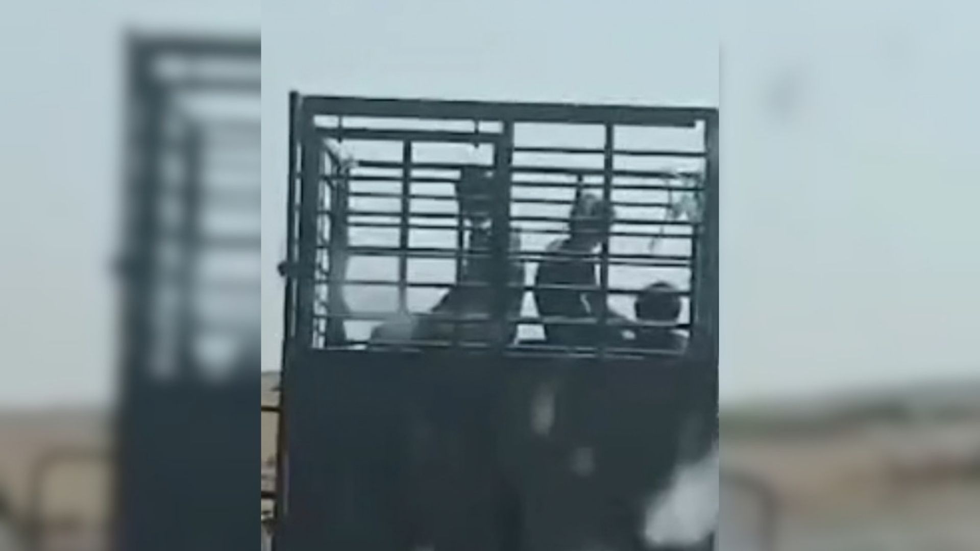 Una pick up circula con tres menores sin sistemas de protección
