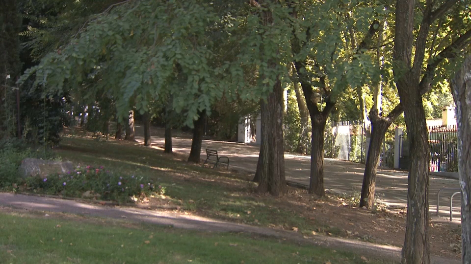 Aparece una pistola junto a la piscina del Parque del Príncipe