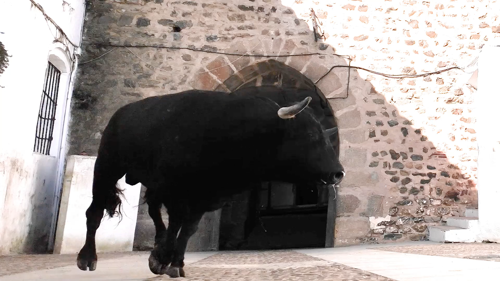 Desembarque Toros, Tierra de Toros, Canal Extremadura, Juan Bazaga