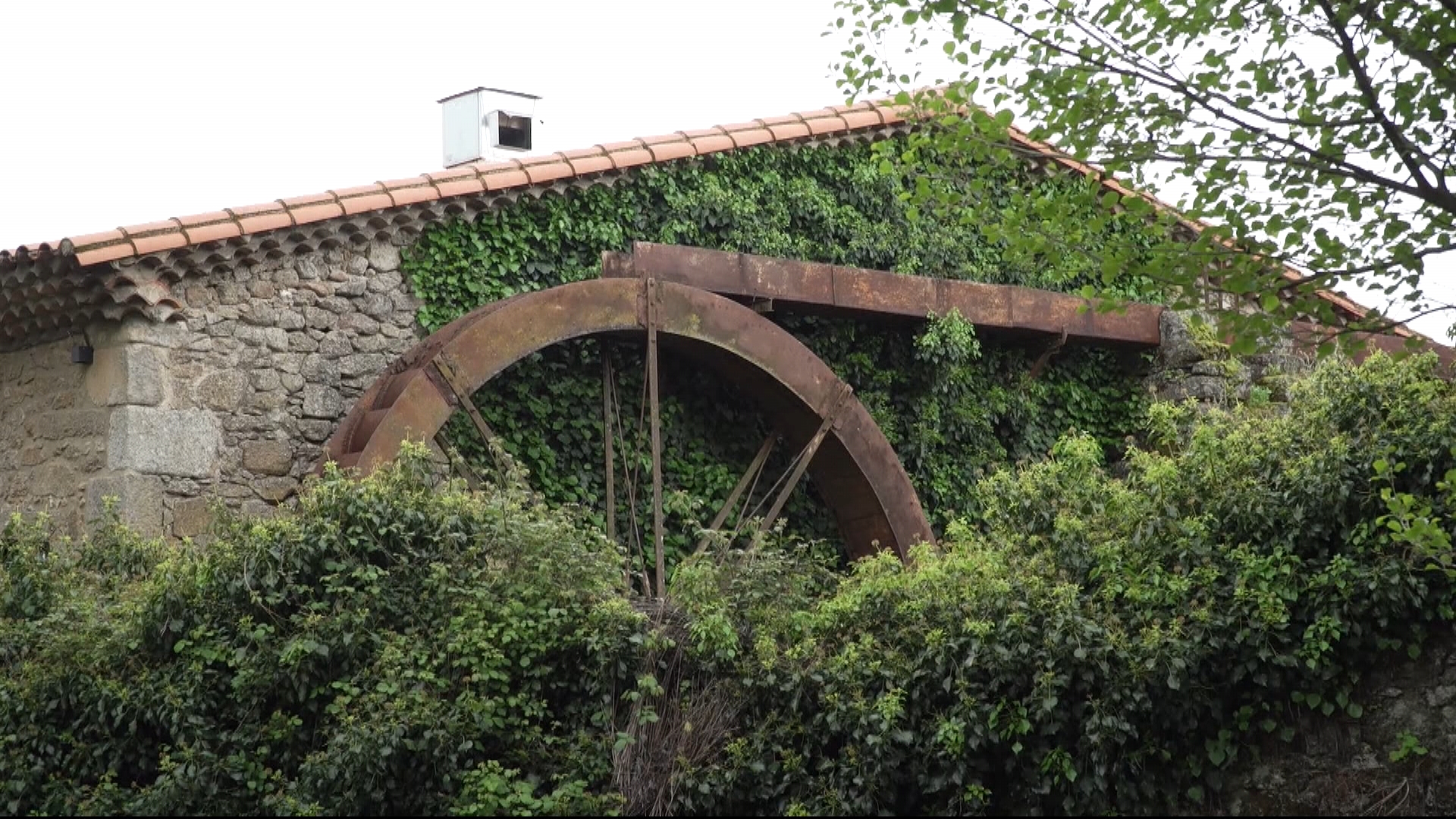 La antigua rueda hidráulica del molino de aceite, hoy integrada en el conjunto de Aqua et Oleum, en Villamiel.