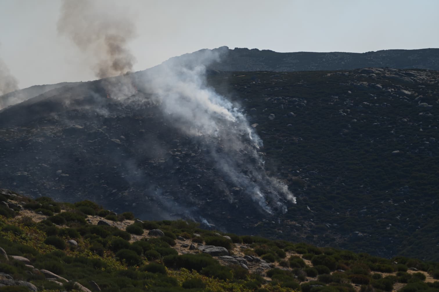 Incendio Tornavacas. Infoex