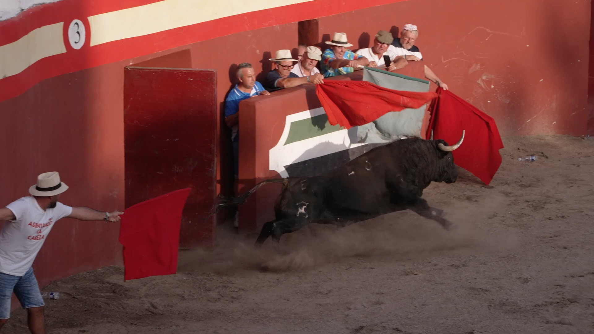Brozas, Tierra de Toros, Canal Extremadura, Juan Bazaga
