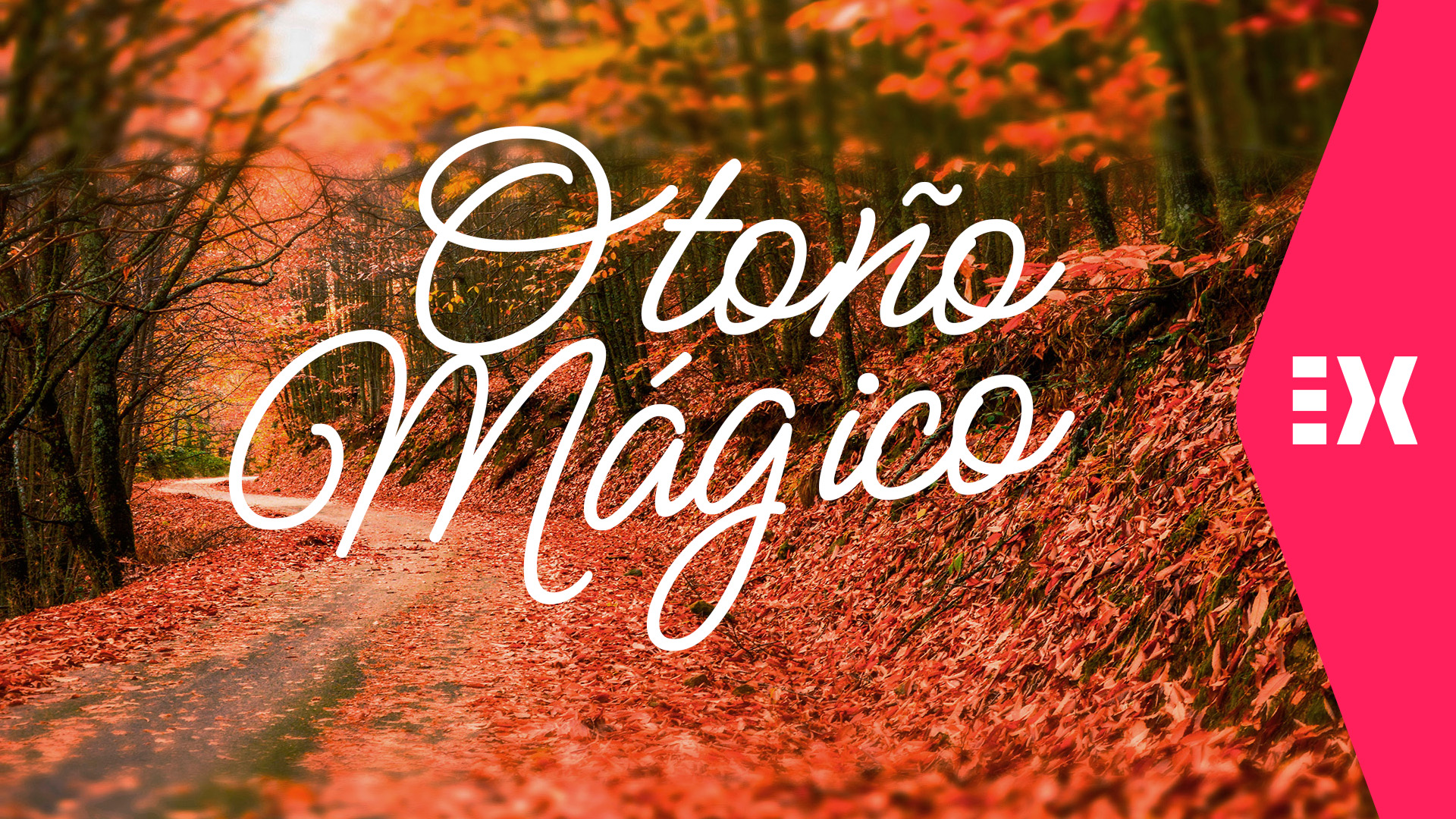 Otoño Mágico