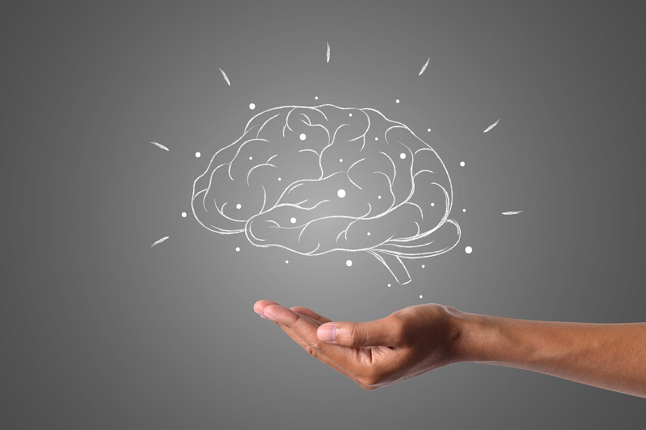 Cerebro 