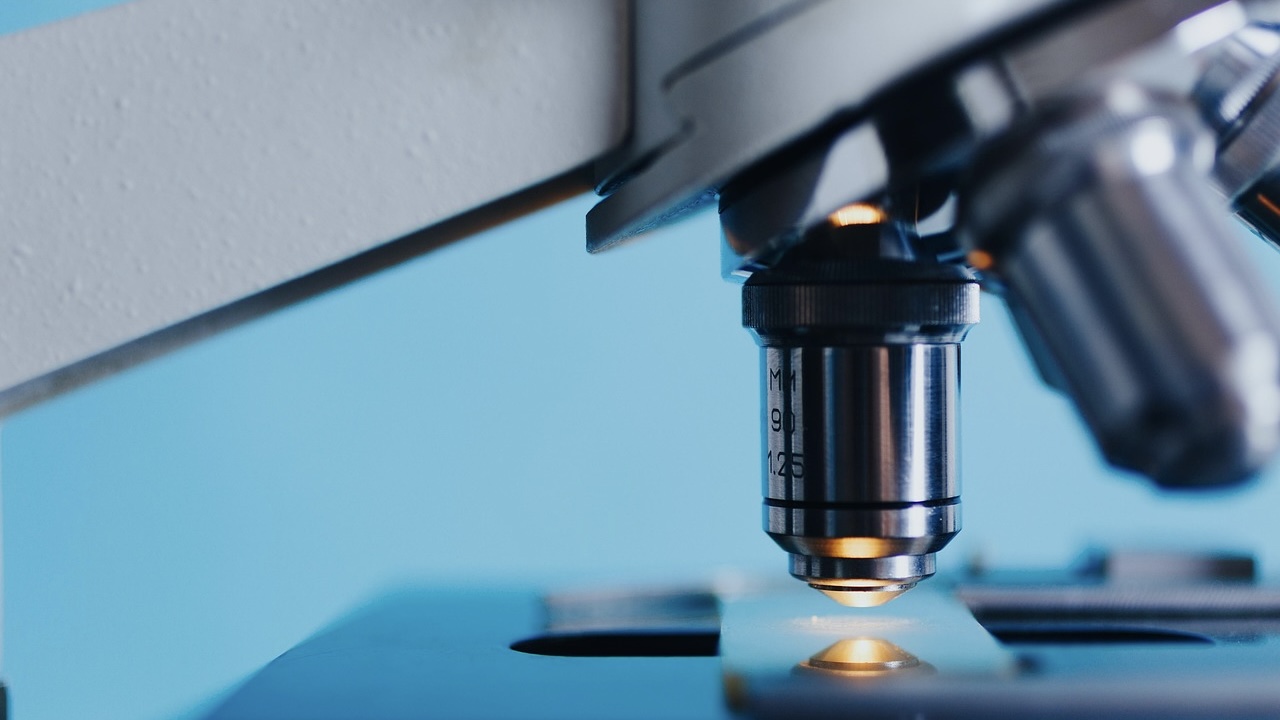 Microscopio 