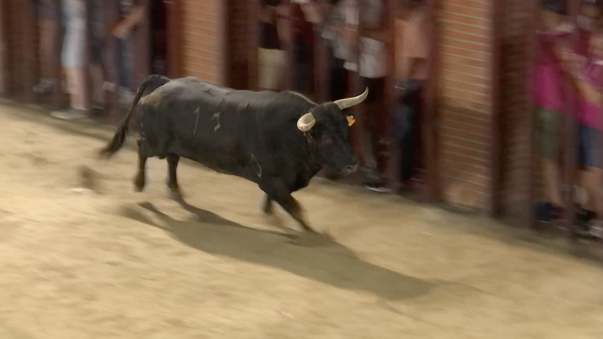 Montánchez, Tierra de Toros, Canal Extremadura, Juan Bazaga