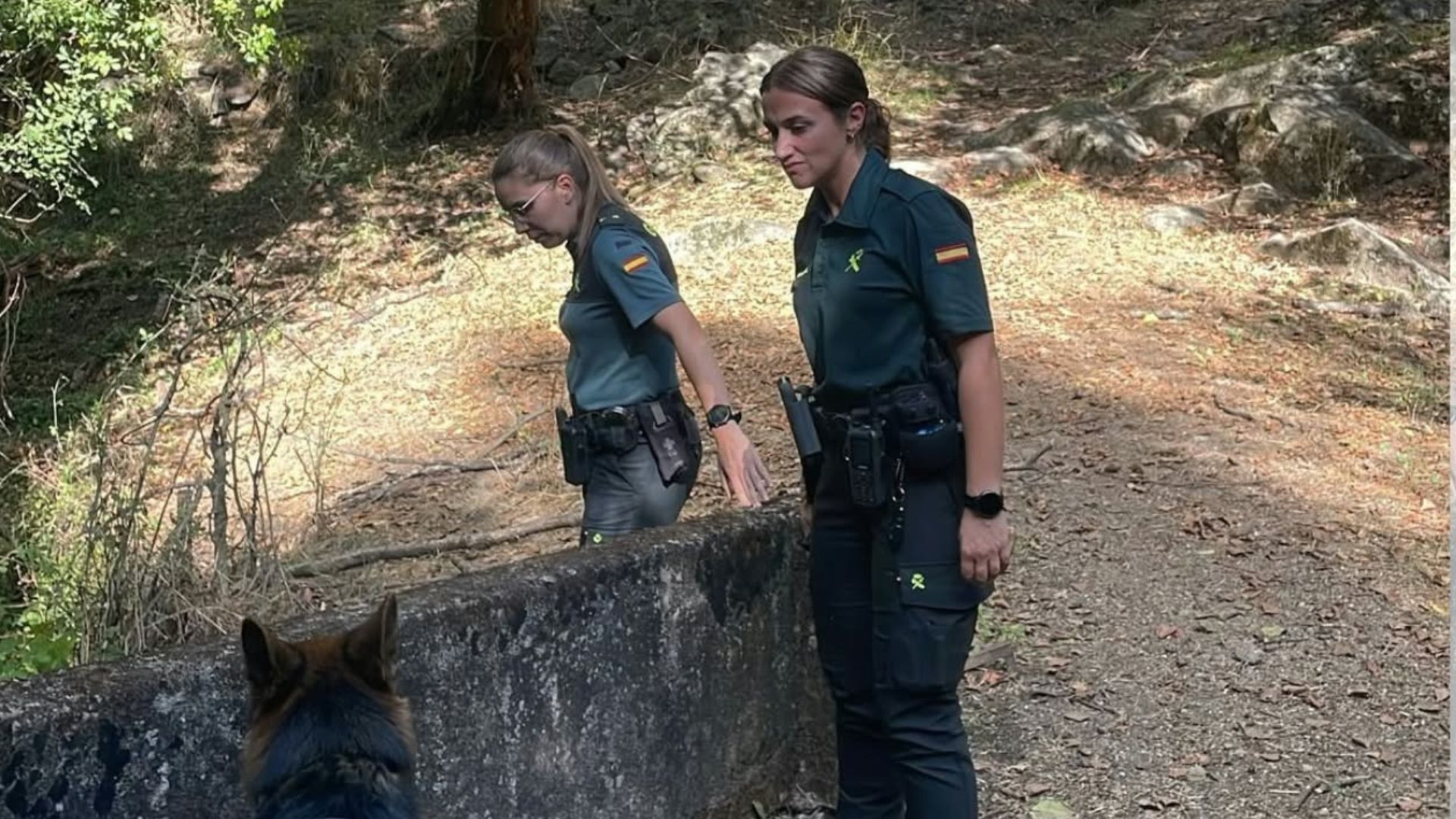 Dispositivo de búsqueda en Losar de la Vera