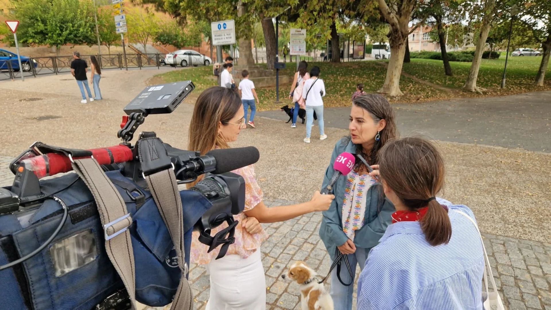 Irene de Miguel, portavoz de Unidas por Extremadura, atiende a los medios de comunicación