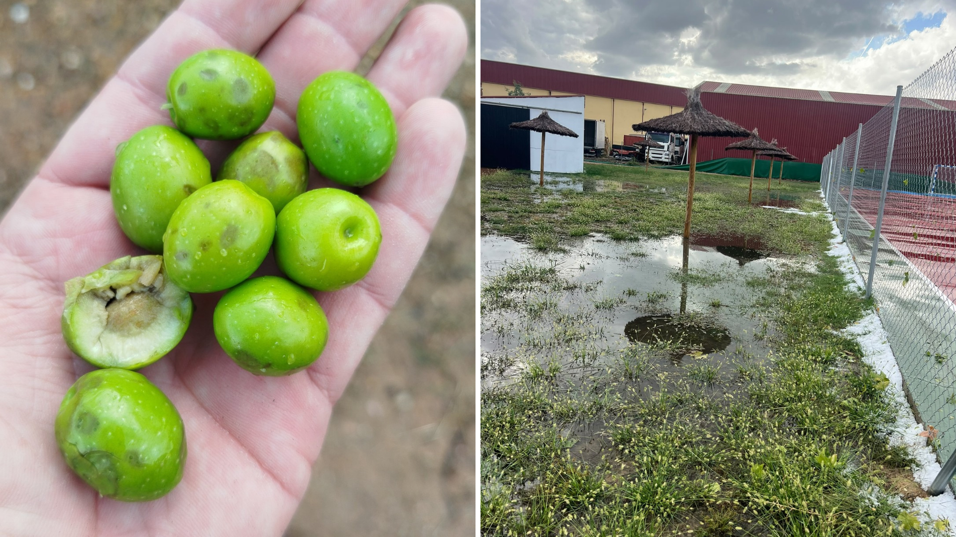Daños causados por la tormenta en Los Guadalperales