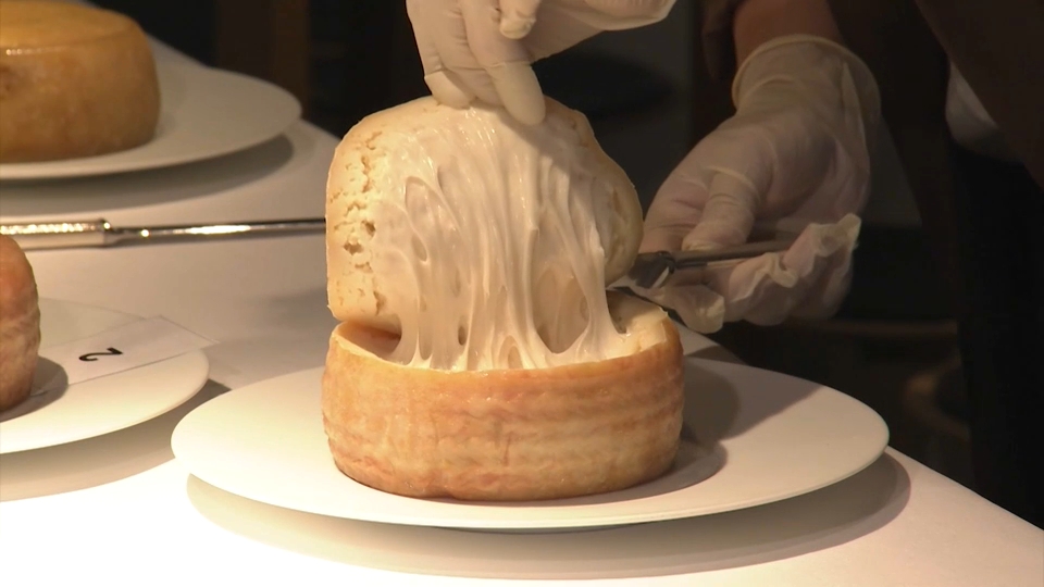 Apertura de una deliciosa torta del Casar