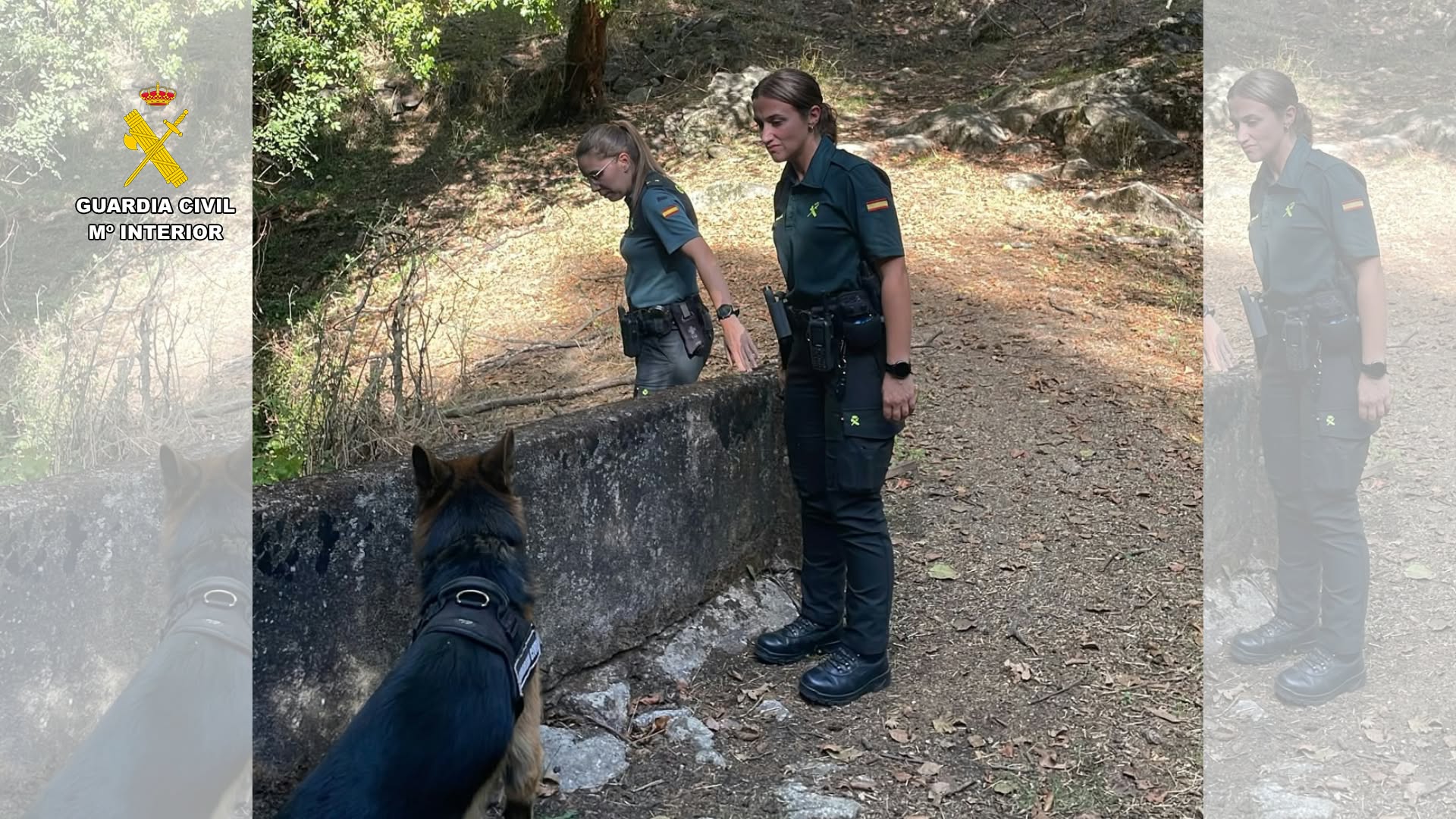 Búsqueda de Salva desaparecido en Losar de la Vera