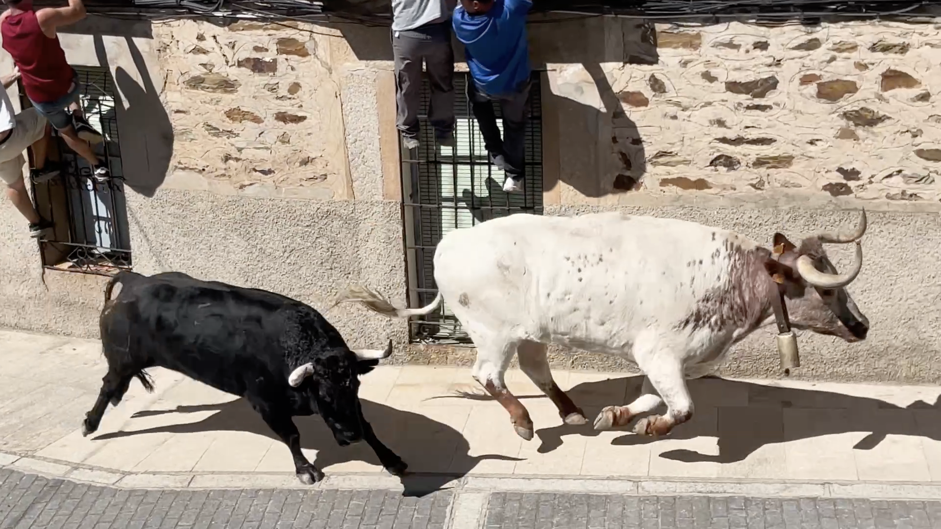 Calzadilla, Tierra de Toros, Canal Extremadura, Juan Bazaga