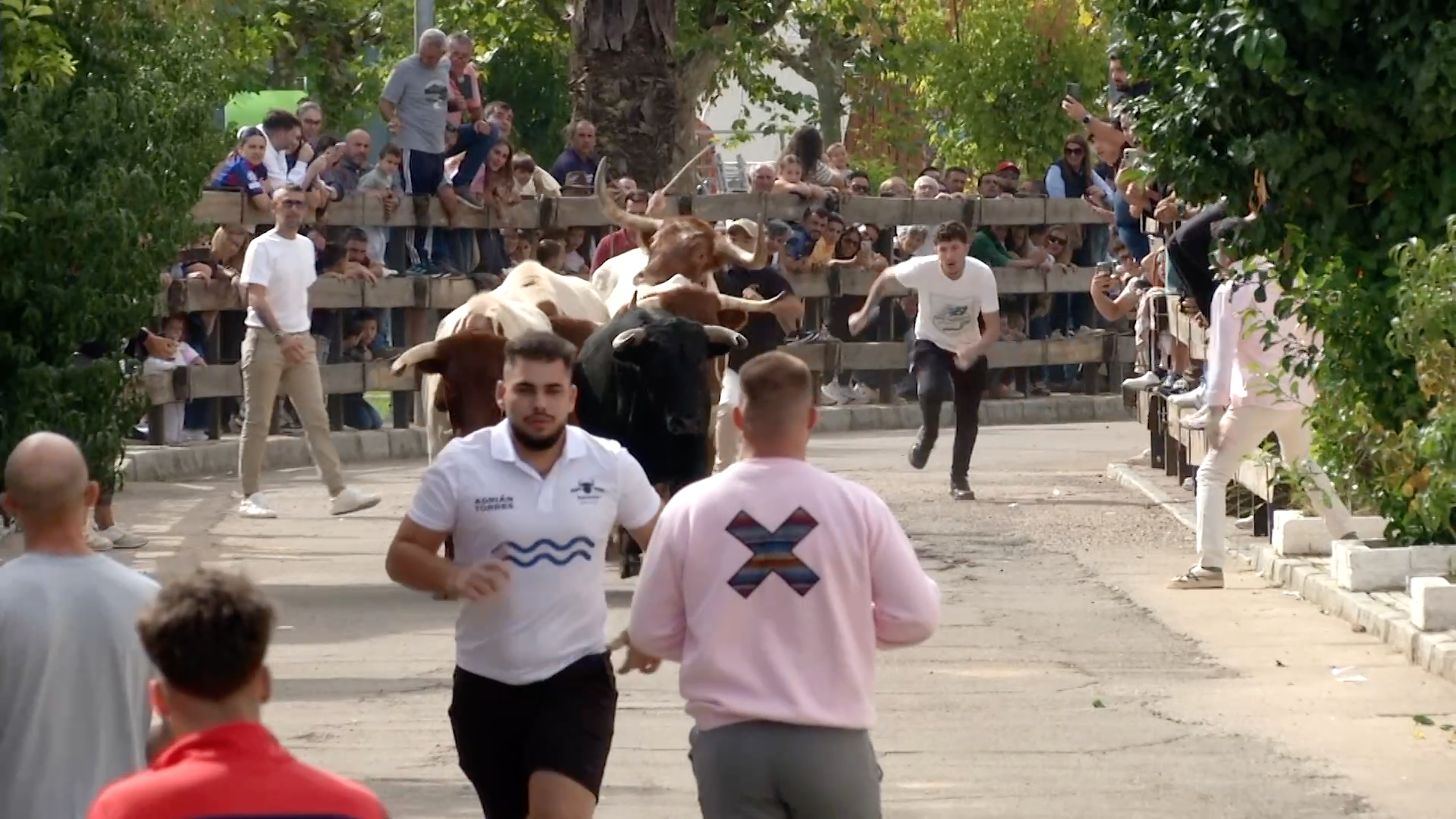 Entrerríos y sus encierros, Tierra de Toros, Canal Extremadura, Juan Bazaga