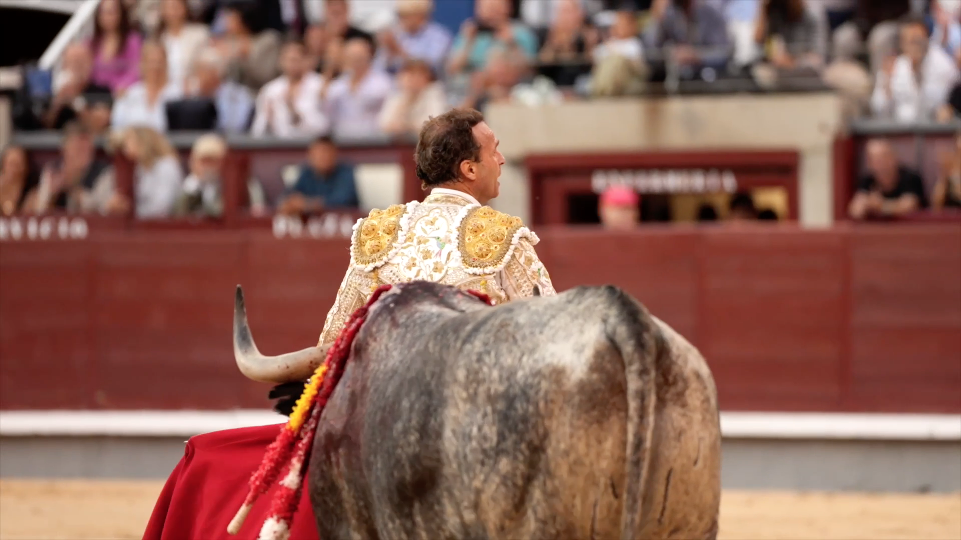 Las Ventas, Ferrera y Román a homnbros con los de Adolfo Martín, Tierra de Toros, Canal Extremadura, Juan Bazaga