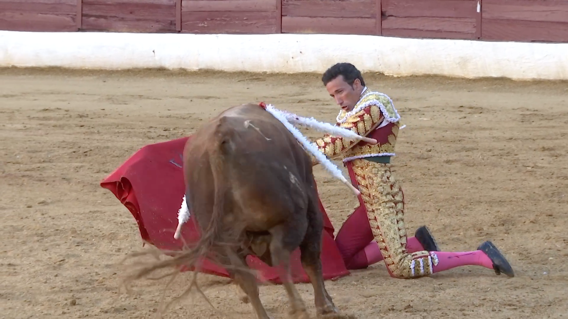 Indulto en Zafra, Tierra de Toros, Canal Extremadura, Juan Bazaga