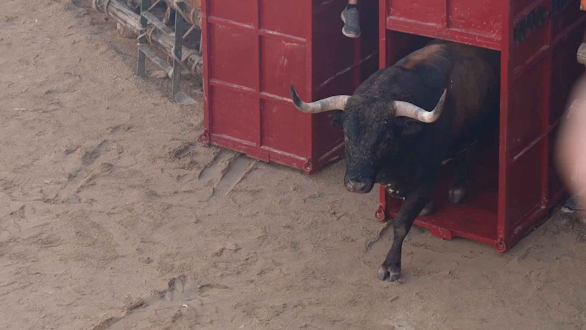 Jarandilla de la Vera, Tierra de Toros, Canal Extremadura, Juan Bazaga