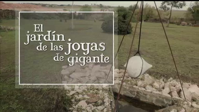 aliviar cobertura En honor El Lince 3.0: El jardín de las joyas de gigante (25/01/16) | Canal  Extremadura