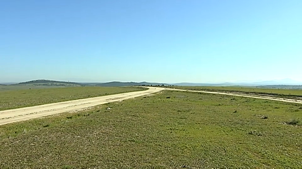 Terrenos donde se instalará la planta fotovoltaica de Ceclavín