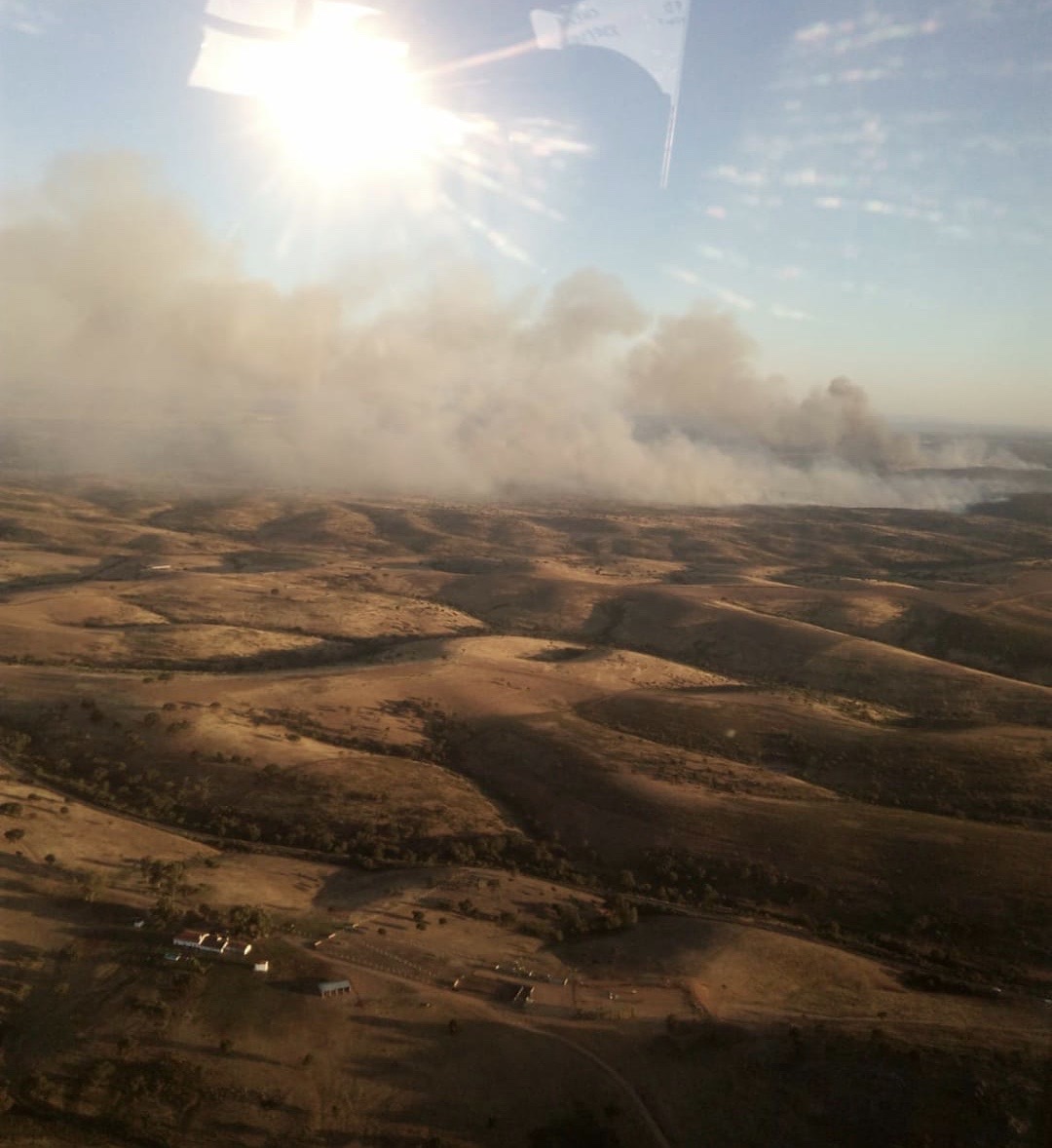 incendio monfortinho