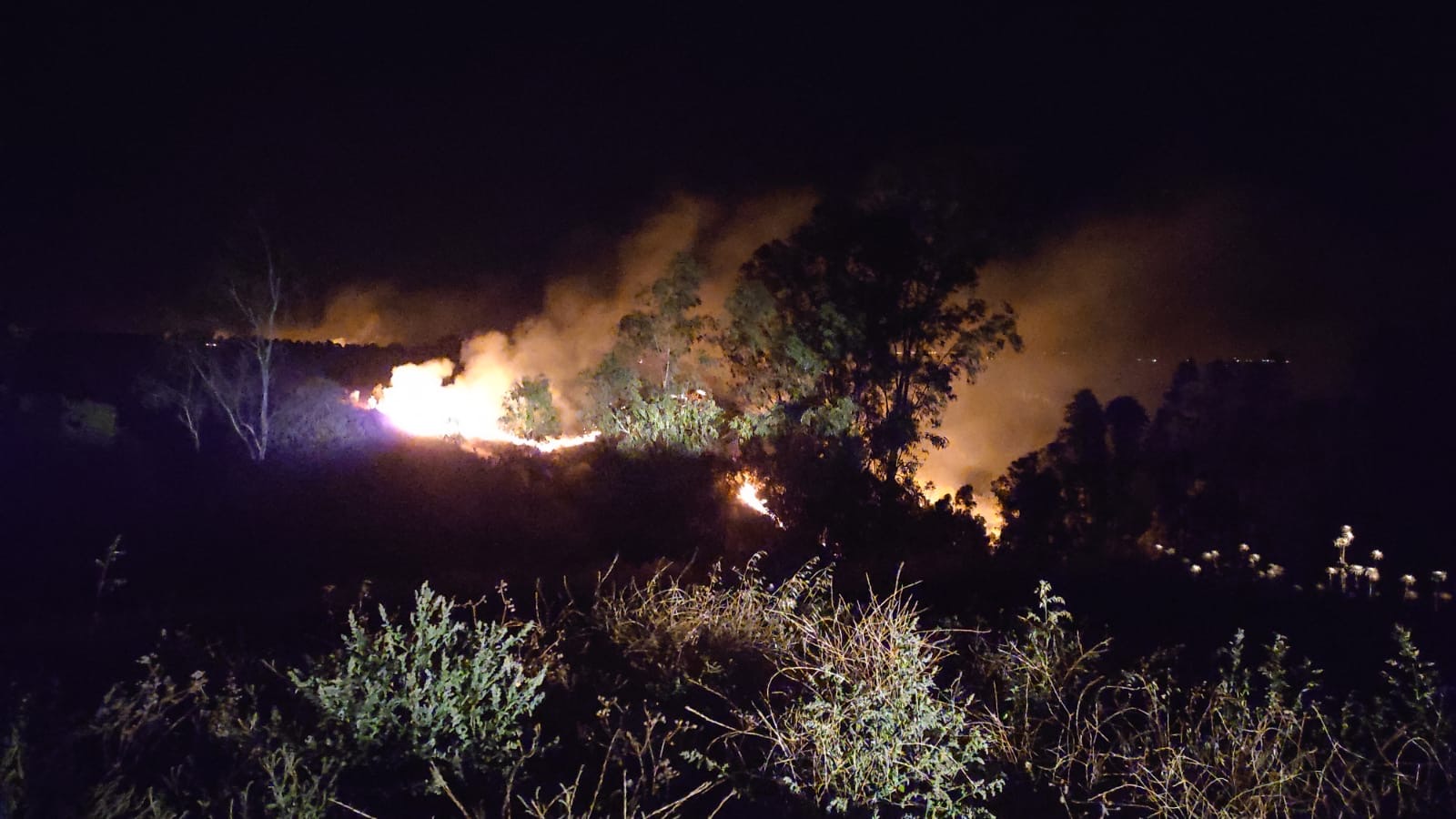 Incendio forestal de Lobón