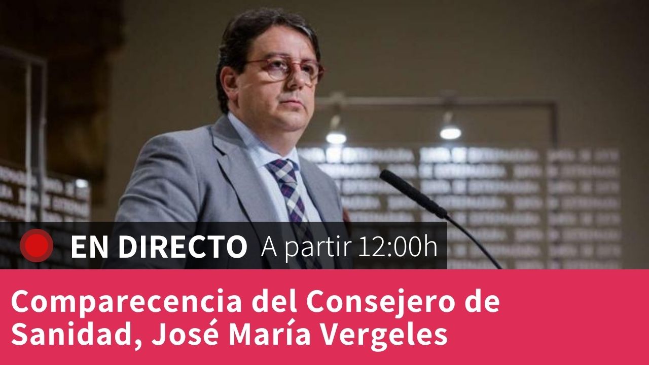 Comparecencia de José María Vergeles