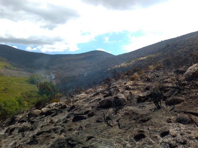Imagen de las hectáreas devoradas por el fuego 