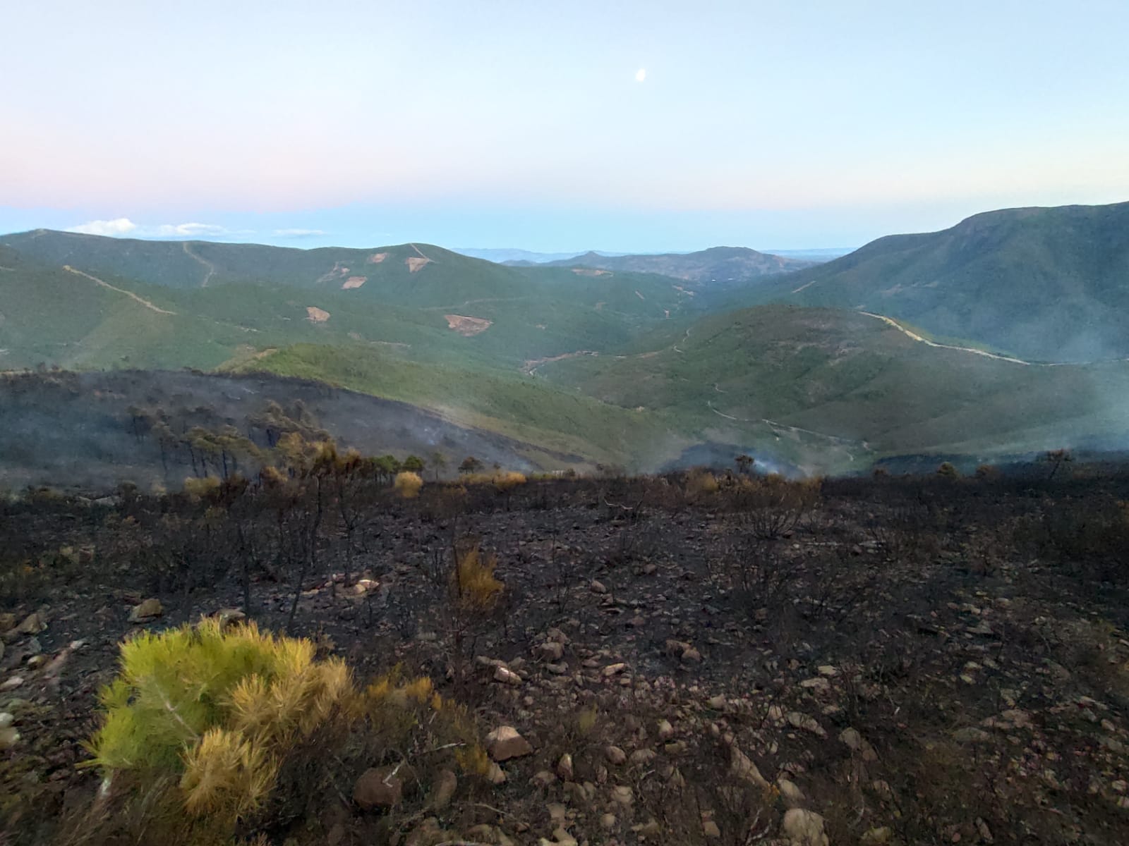 Imagen del incendio a última hora de la tarde