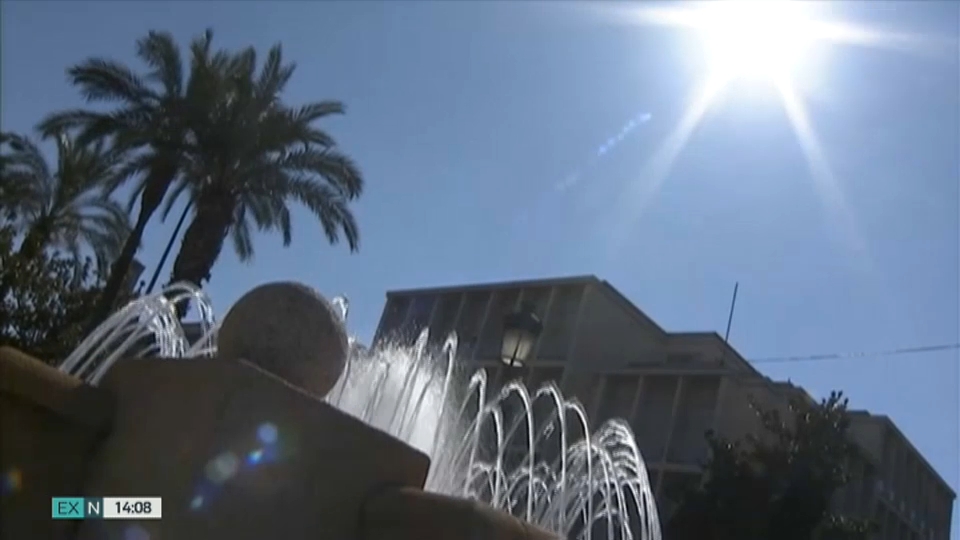 Sol veraniego sobre fuente y palmera