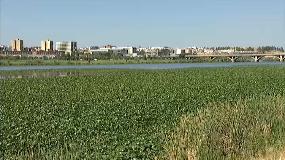 Situación del Río Guadiana en Badajoz