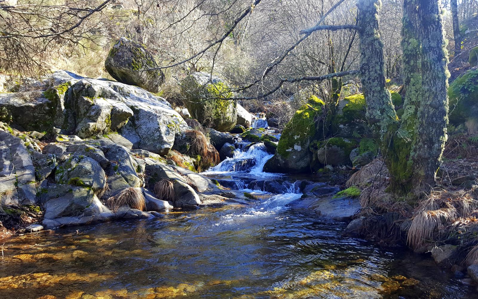 charcas verdes hervás