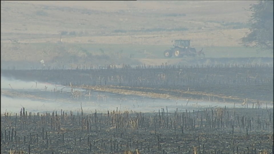 La quema de rastrojos controlada está permitida por la Junta