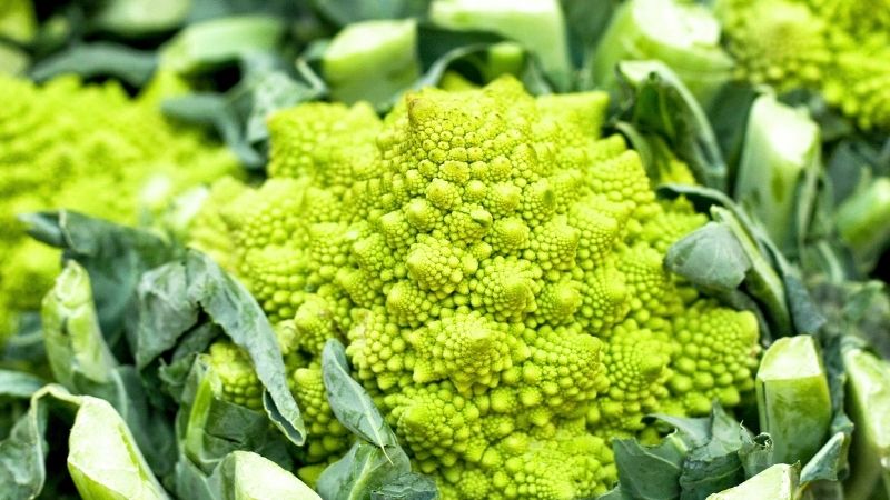brócoli rumano o romanesco