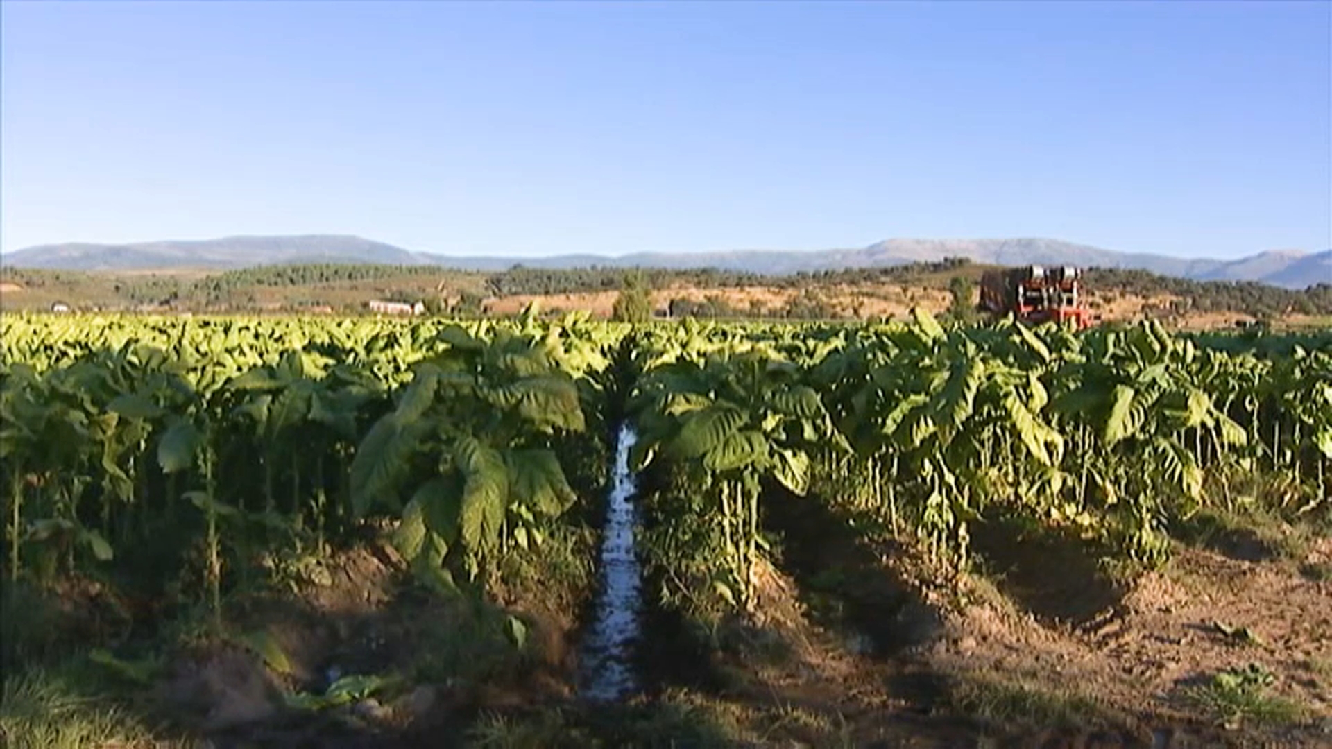 Las organizaciones agrarias piden precios justos para el campo
