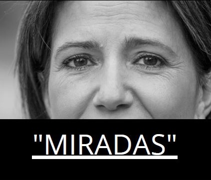 cartel oficial exposición feafes