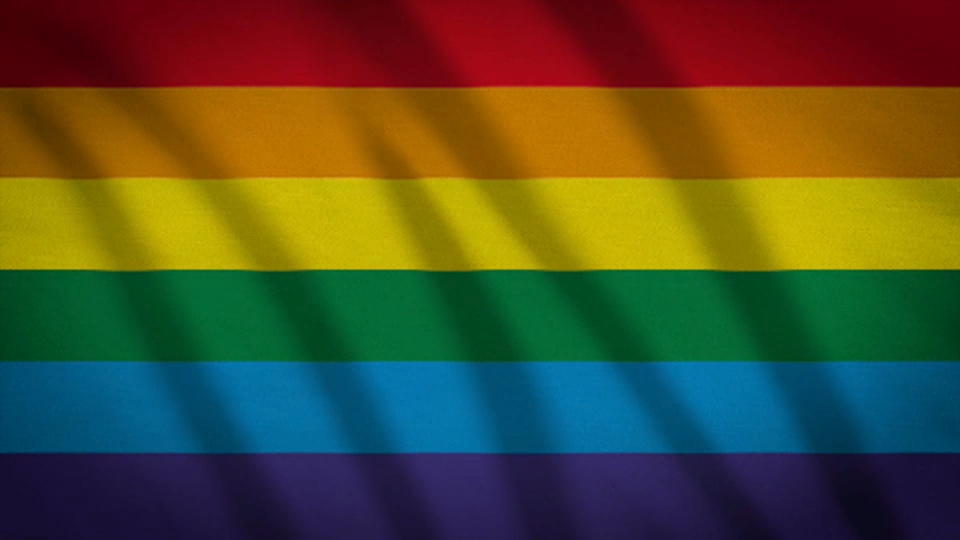 VIDI LGTBI