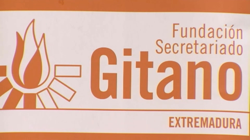 vidi secretariado gitano