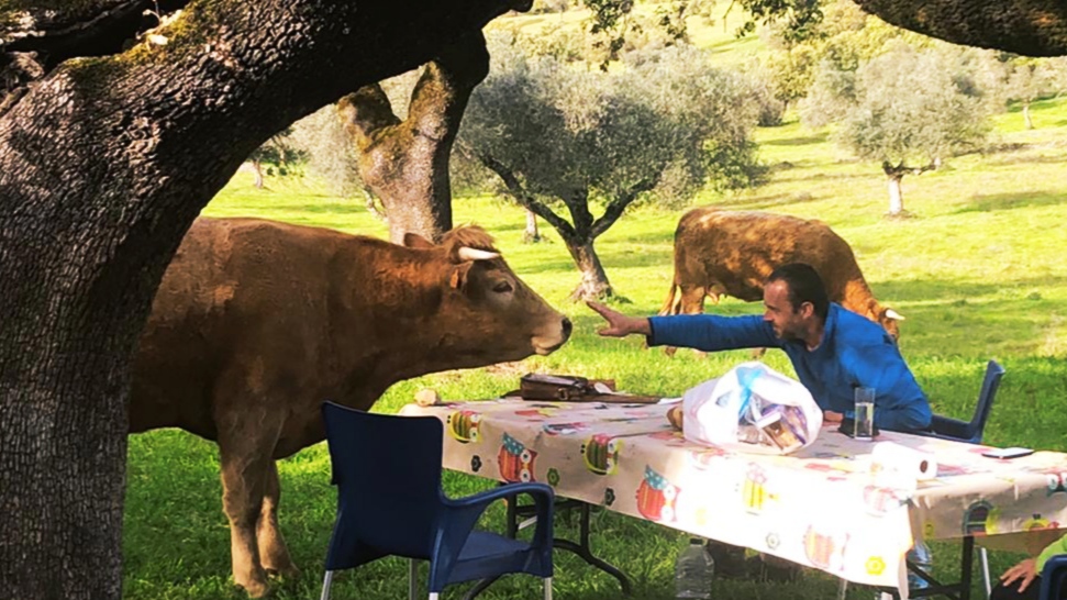 Sobremesa en La Pimienta