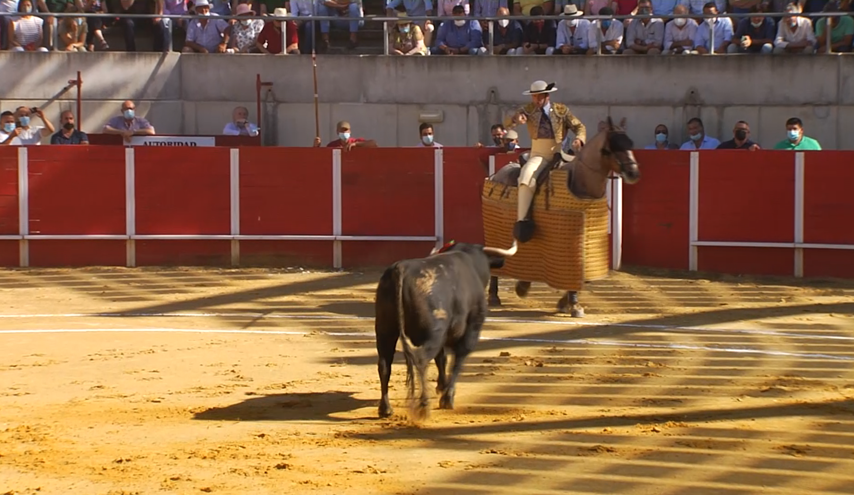 Los Miuras en Llerena