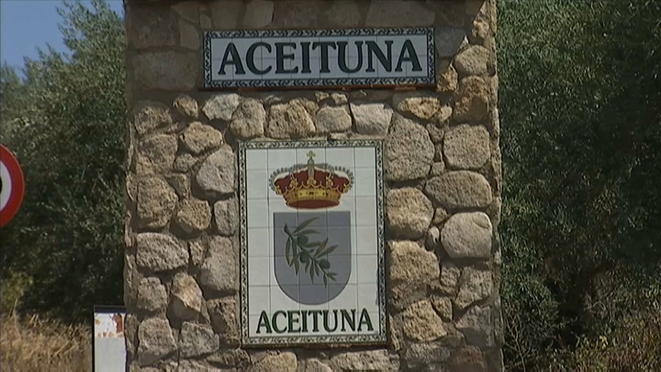 Entrada al municipio de Aceituna