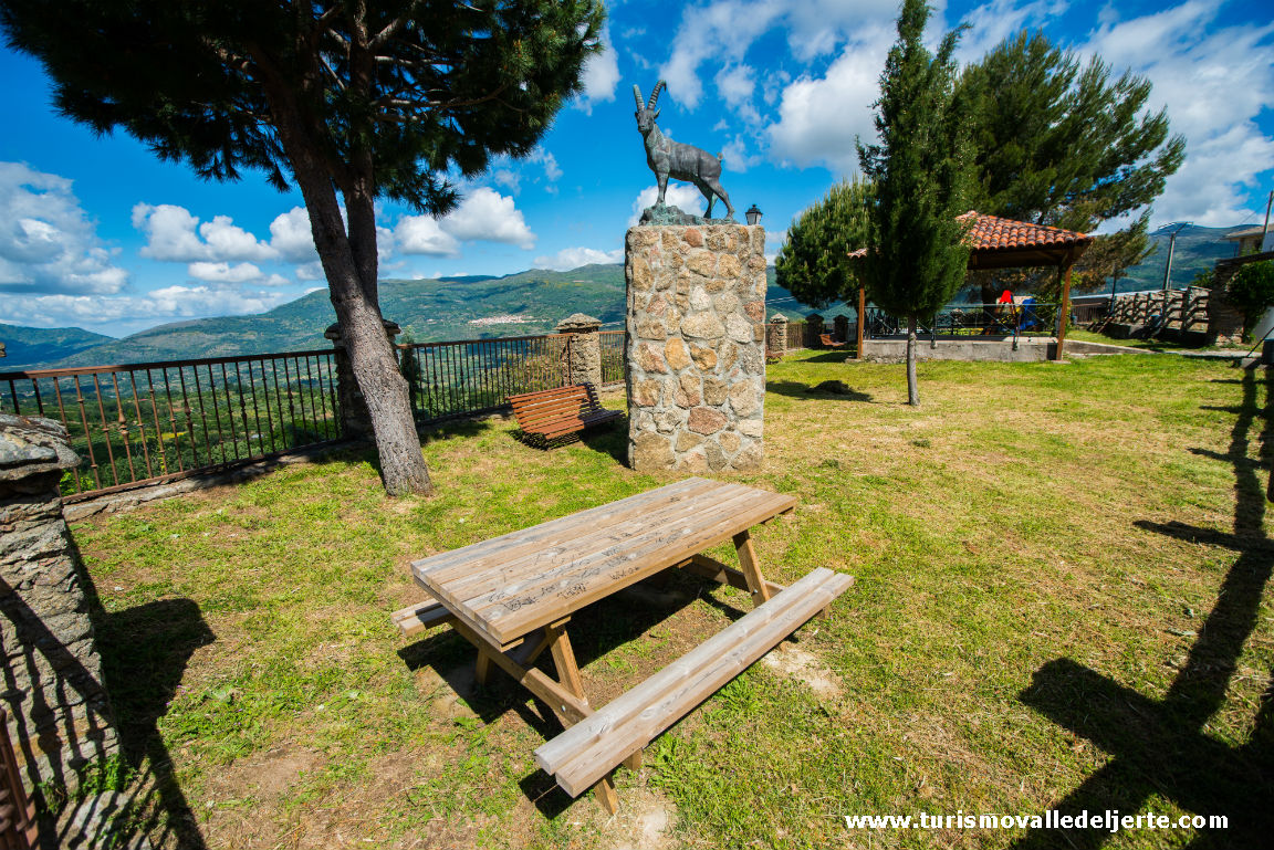 VIDI MIRADOR CABRA EN CABRERO