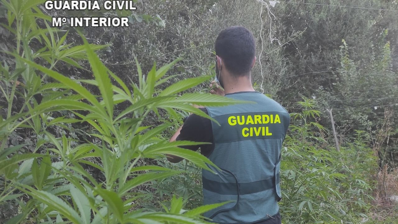 Operación de la Guardia Civil
