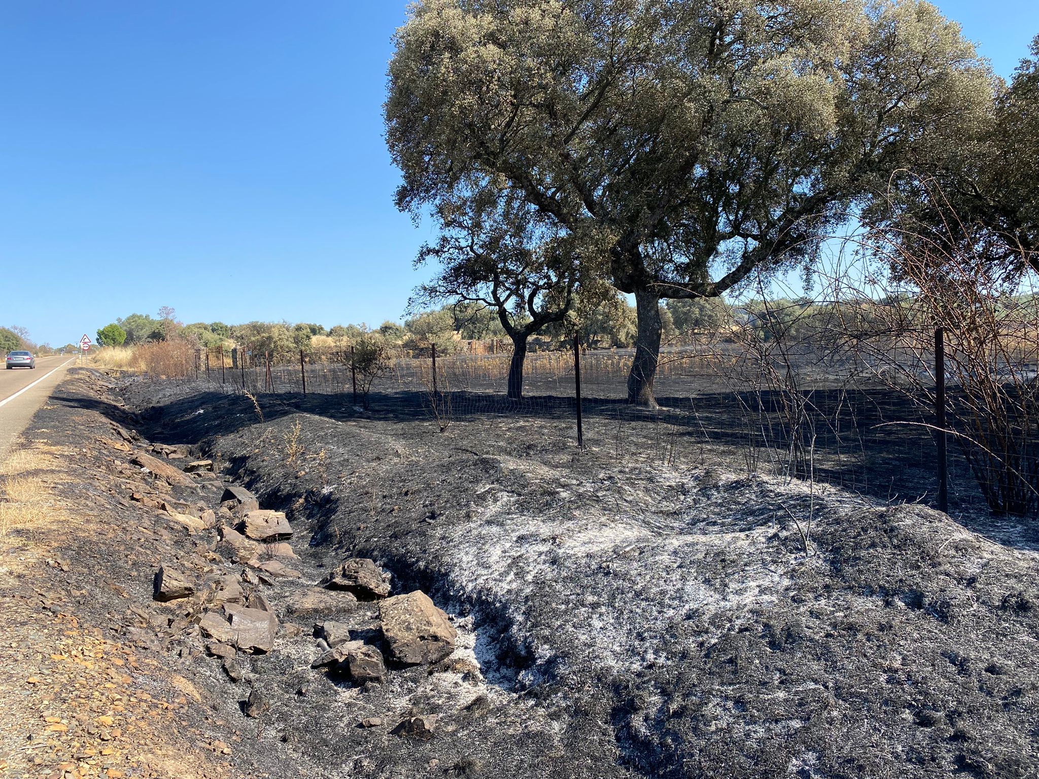 Incendio en Madroñera.