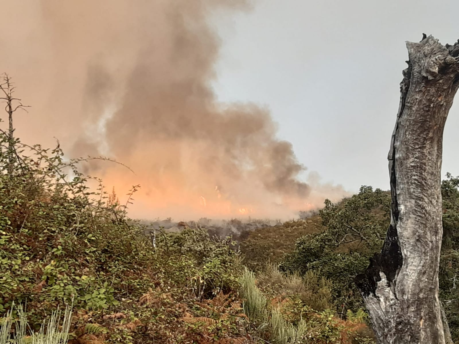 Incendio Villanueva de la Vera
