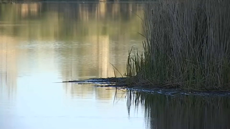Río Guadiana