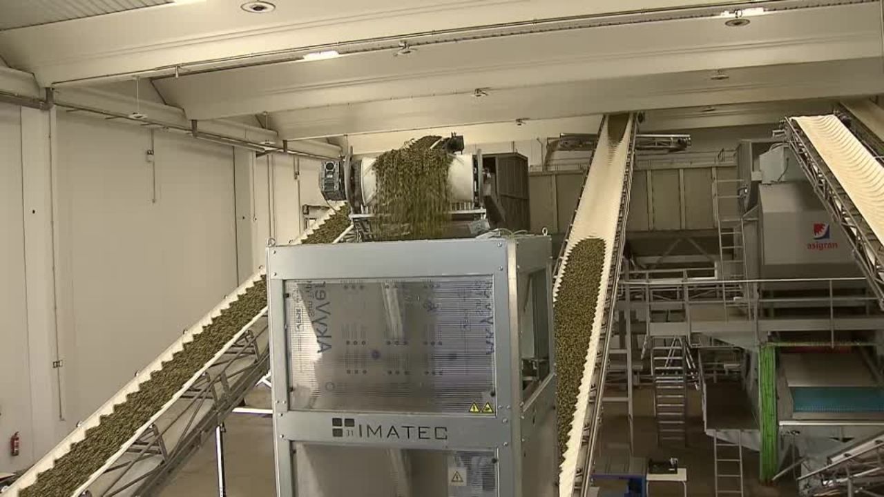 Instalaciones de la almazara Olivamente en Lobón