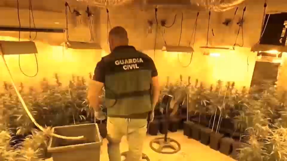 Agente de la Guardia Civil durante la operación
