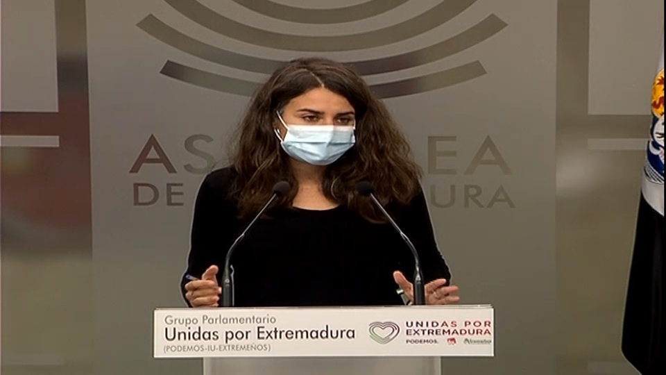Irene de Miguel, en la rueda de prensa de la Junta de Portavoces