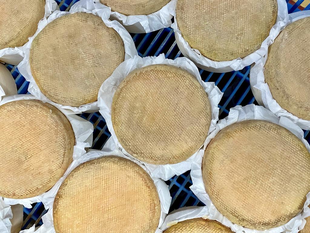 Queso Torta del Casar