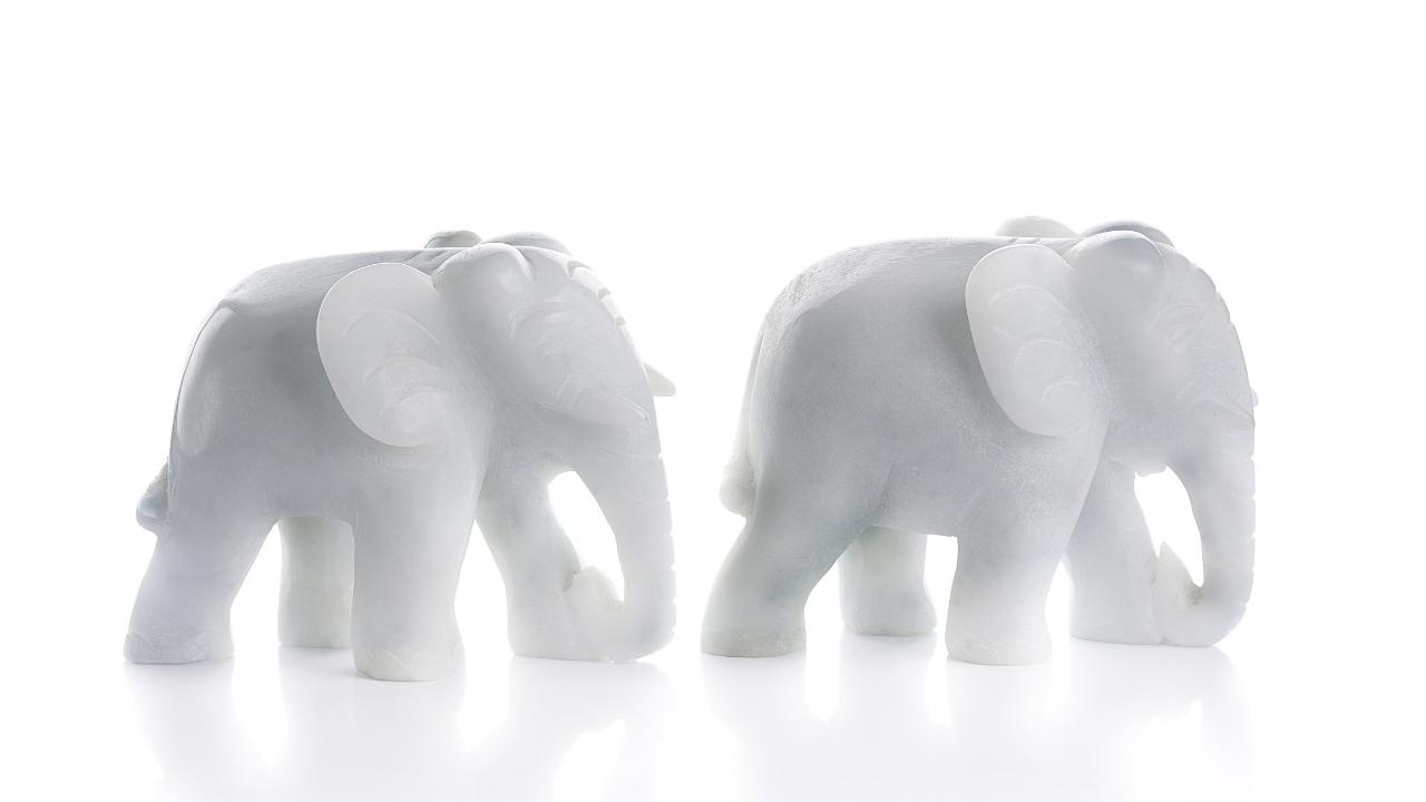 Elefante blanco